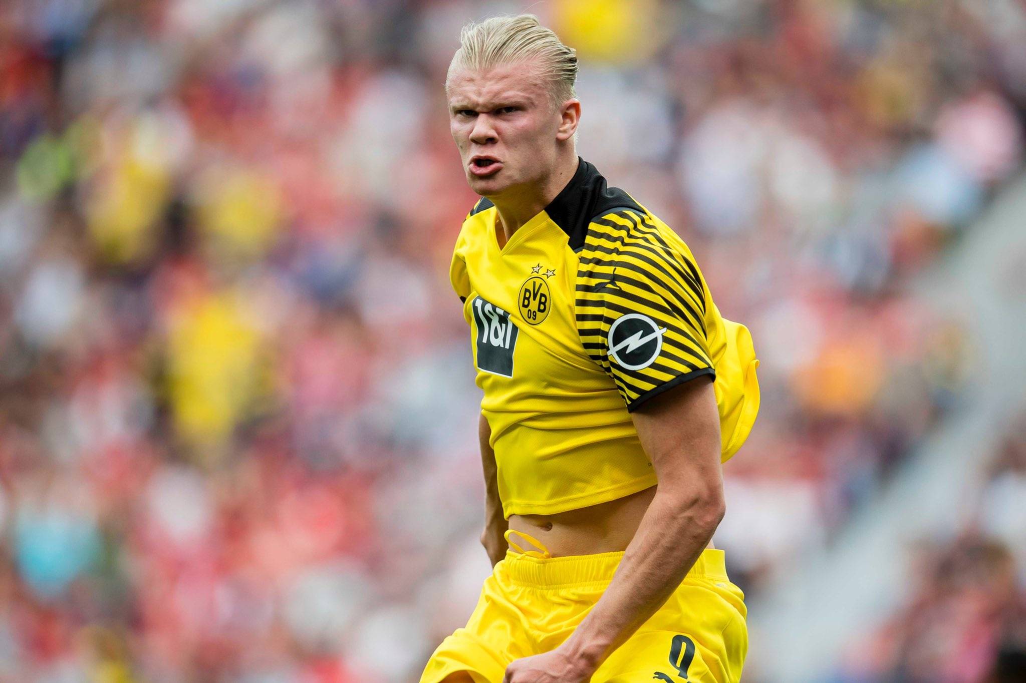 击力与新意 击力与新意