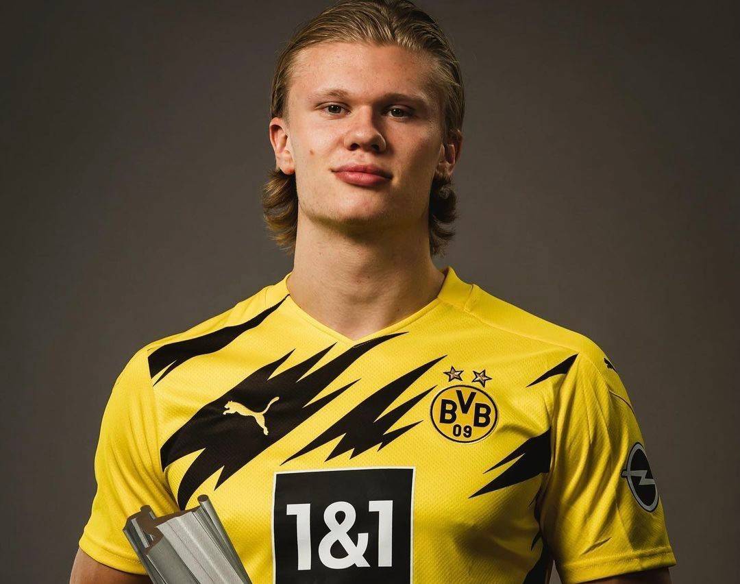 动的战斗体 动的战斗体